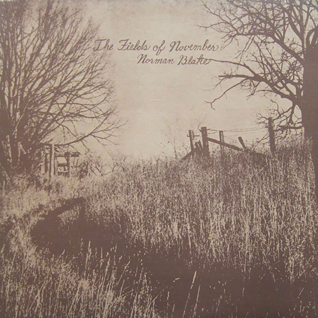 Norman Blake – The Fields Of November cover album