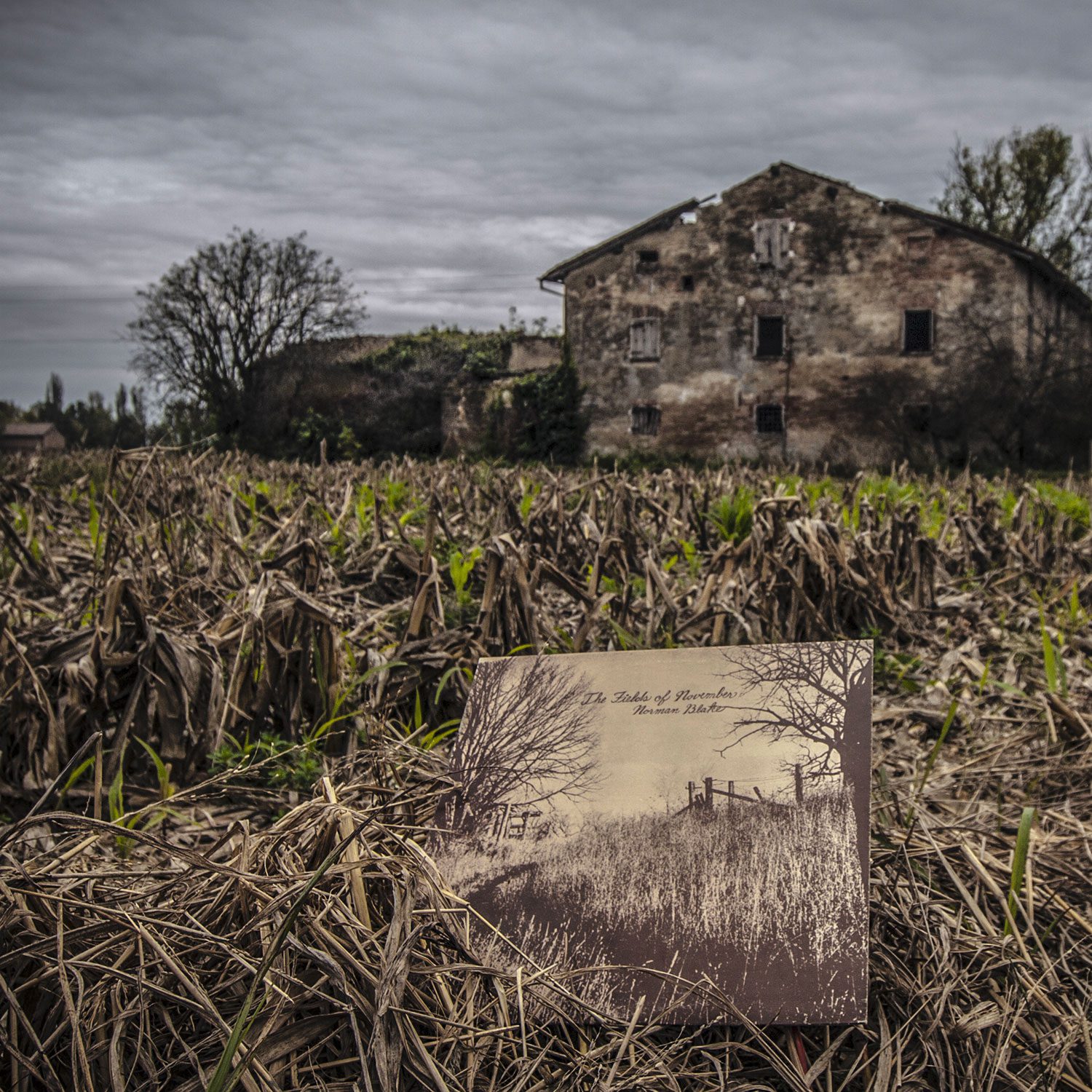 Norman Blake: The Fields Of November