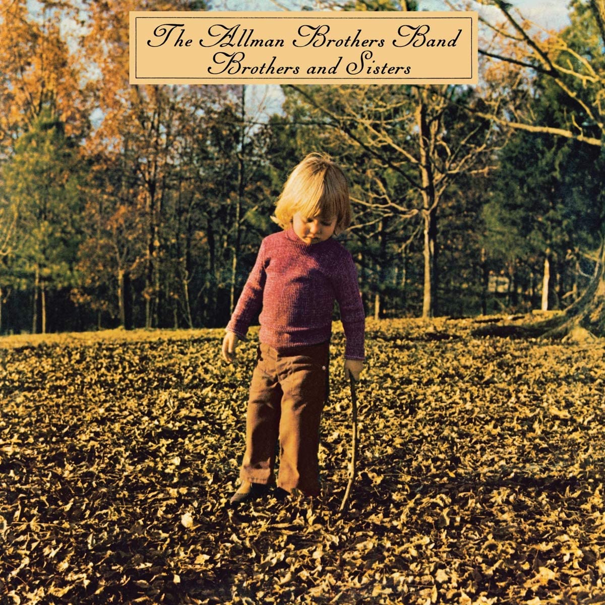 The Allman Brothers Band – Brothers And Sisters cover album